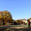 백봉초등학교 이미지