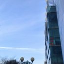 데이도그 | 광주광역시에서 프라이빗 영화관람! CGV광주용봉 | [3탄] &#39;도그데이&#39; 감상 후기