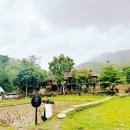 윤세탁소 | [태국 빠이 여행 3일차] 윤라이 전망대, 코쿠쏘 대나무 다리 &amp; BAANKONPAI 숙소 후기