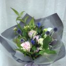 사파동358 이미지