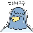 비둘기2길 이미지