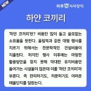 하얀코끼리 이미지