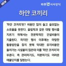 2월 11일(월) `하얀 코끼리`에 짓눌린 강원/8600억쓰고 일회용시설 만든 격 이미지