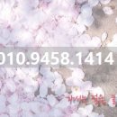 꽃길부동산공인중개사사무소 이미지