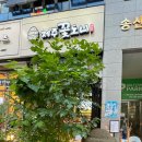 제주꽃도니 이미지