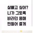 즐거운점핑