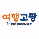 제주출발 크루즈여행 추천! 상해 1박 + 크루즈 3박 4박5일 일정 이미지