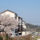 하이킹펜션 이미지