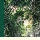 느긋한 시절 이미지