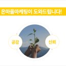 대하체육관 이미지