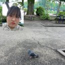 카페도피성 | Tokyo 07/04 ~ 07/07 일본 대학원 입시 후기^^..**