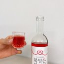 족마담 이미지