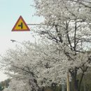 북한산로 이미지