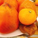 우쭈쭈수제간식 | 2026 새해당 >_< - 훌라당과 시작하는 새해파티