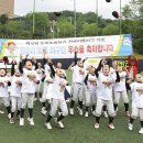 도미노피자동 - 서초구 서운로 220 | 도미노피자동