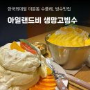 아일랜드비, 동대문 이문동 만다린수플레 생망고 빙수 맛집 외대카페
