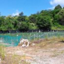 경기도 양평군 곡수초등학교 이미지