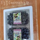 주동농장 이미지