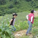 고운농장 이미지