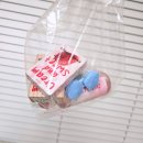 쵸코 | 렌즈미 크림앤스윗 스윗쵸코 렌즈 내돈내산 후기, 웨딩촬영 렌즈 추천 (빅직경)