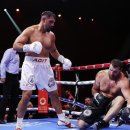 월드복싱 이미지