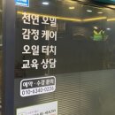 바이오포톤테라피 이미지