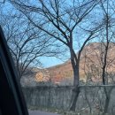 이디야어방점 이미지