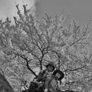 성문중학교 이미지