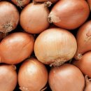 다사랑식품 이미지