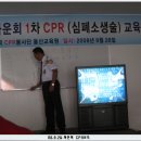 대흥운수(주) 이미지