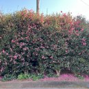 토산보건진료소 이미지