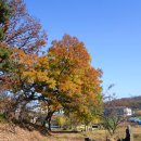 귀인조씨묘 이미지