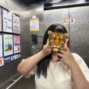 컴퓨터 활용능력 필기 2급 후기🖥️