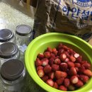 벌말농원 이미지