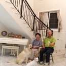 동남구청사 지하1층(로비층) 화장실 | 결혼 50주년 호주-뉴질랜드 캠퍼밴 여행(제2일 시드니-맨리)