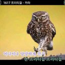 눈다리 노래방 이미지