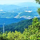 금남면사무소 이미지