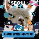 주식회사 테이블에이 고양이카페 | [홍대] 실내동물원 테이블 에이 후기 | 홍대데이트 홍대고양이카페 합정데이트 신촌데이트 홍대실내데이트