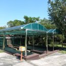 대왕수천 이미지