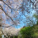 월미공원 전망대 화장실 이미지