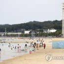 대천 이미지