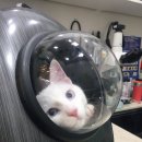 오라고동물병원 이미지