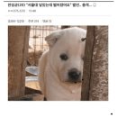 로얄PC방 이미지
