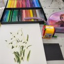 즐거운 색연필화 이미지