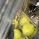 씨유대구용산점 | 높은 마음으로 살아야지 낮은 몸에 갇혀있대도