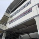 장안구청 | 직관 전 들르기 좋은 노모어피자장안구청점 베이컨 하와이안(P) 후기