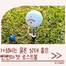 우리동네스크린골프, 마켓 | 골프 로스트볼 추천 가성비 좋은 뻔뻔마켓 로스트볼