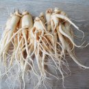 금산홍삼집 이미지