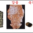 파피루스플러스(Papyrus+) 이미지