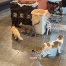 아이디온PC카페 이미지